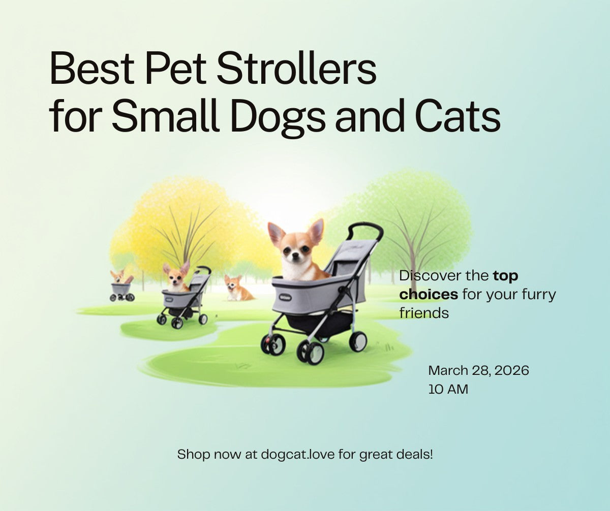 Best Pet Strollers for Small Dogs and Cats (2026) - Complete Guide