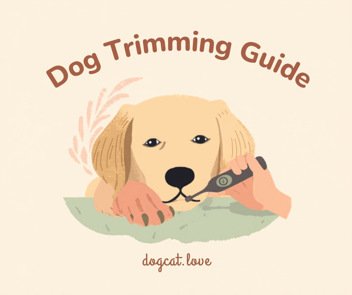 How to Trim Dog Nails Without Clippers: A Complete Guide