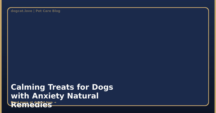 Calming Treats for Dogs with Anxiety: Natural Remedies That Work