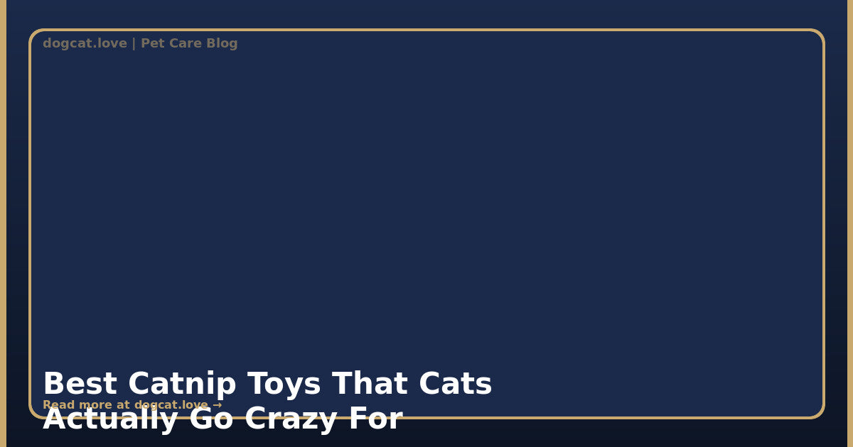 Best Catnip Toys That Cats Actually Go Crazy For