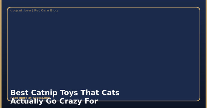 Best Catnip Toys That Cats Actually Go Crazy For