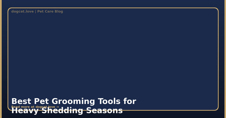 Best Pet Grooming Tools for Heavy Shedding Seasons