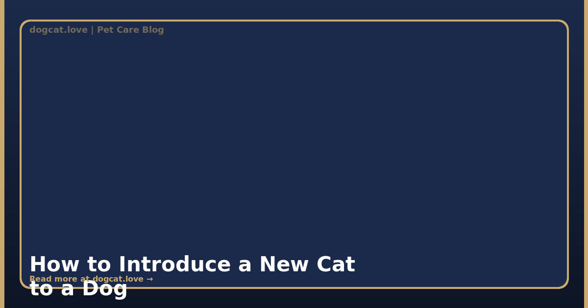How to Introduce a New Cat to a Dog: A Step-by-Step Guide