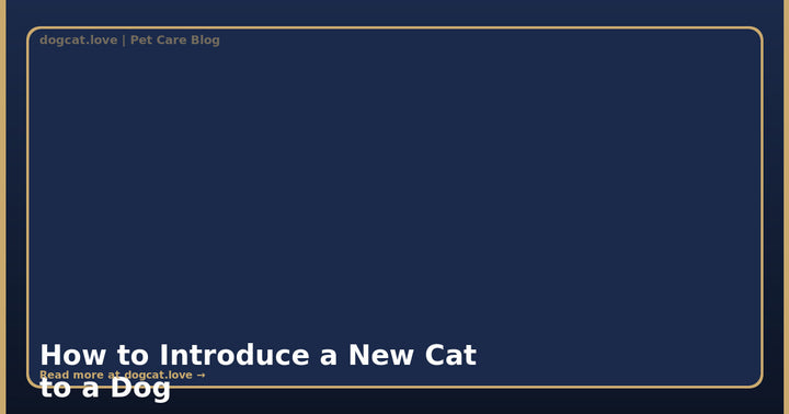 How to Introduce a New Cat to a Dog: A Step-by-Step Guide