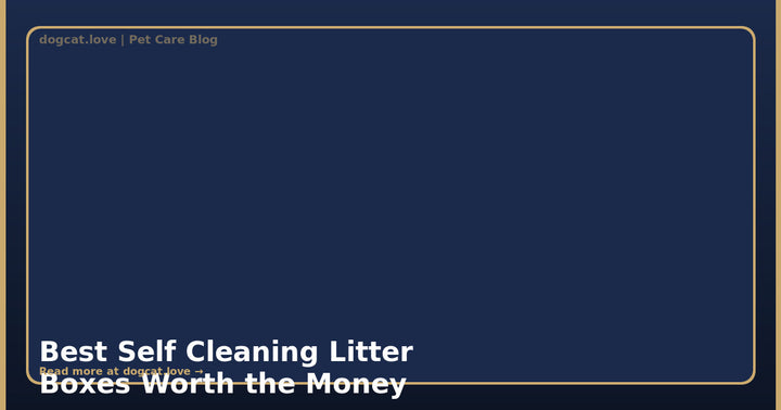 Best Self Cleaning Litter Boxes Worth the Money in 2026