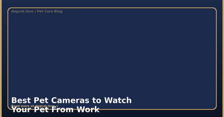 Best Pet Cameras to Watch Your Pet From Work: Complete 2026 Guide