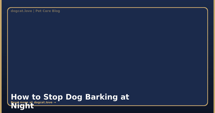 How to Stop Dog Barking at Night: A Complete Behavior Guide
