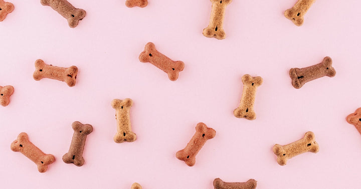 Apartment Puppy Potty Training
