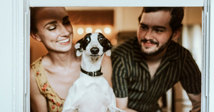 Pet Microchipping Benefits