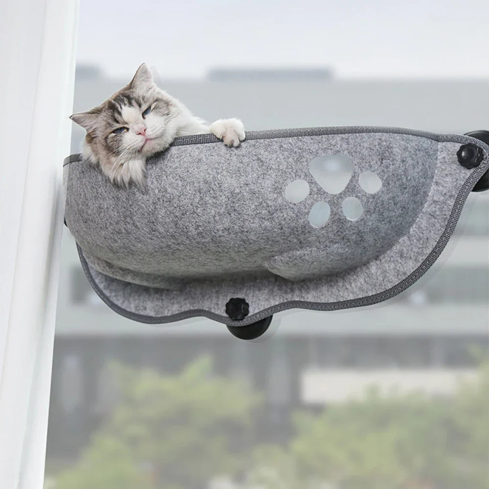 Cat Supplies