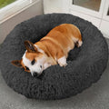 Premium Fleece Pet Bed with Supportive Rim — Ultra Soft & Warm