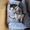 Warming Pet Bed — Cozy Washable Sofa Bed for Dogs & Cats