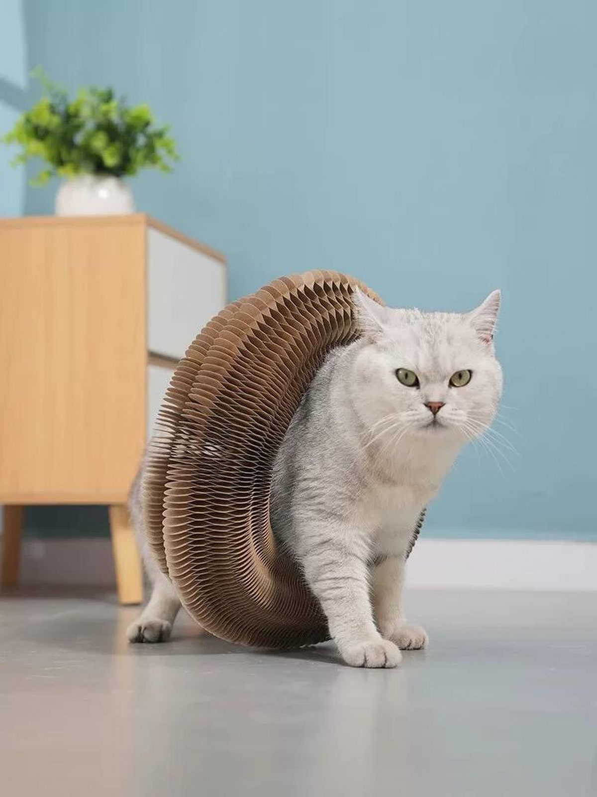 Accordion Folding Cat Scratching Post — Compact Wood-Grain Scratcher for Indoor Cats
