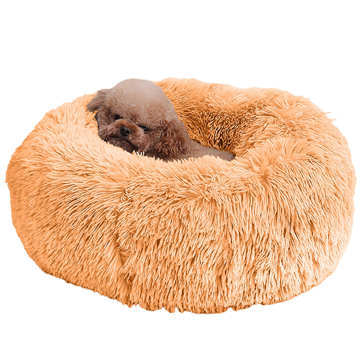 Premium Fleece Pet Bed with Supportive Rim — Ultra Soft & Warm