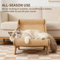 TV-Shaped Cat Scratcher Sofa Bed — For Large Cats up to 20lbs