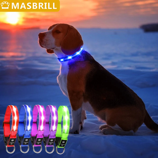 LED Dog Collar USB Rechargeable Night Safety