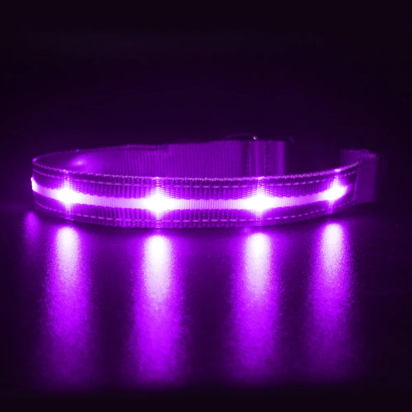 LED Dog Collar USB Rechargeable Night Safety