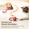 Cat Interactive Ball Toy, Automatic Rolling Ball with Tail, Rechargeable Smart Pet Interactive Toy, 