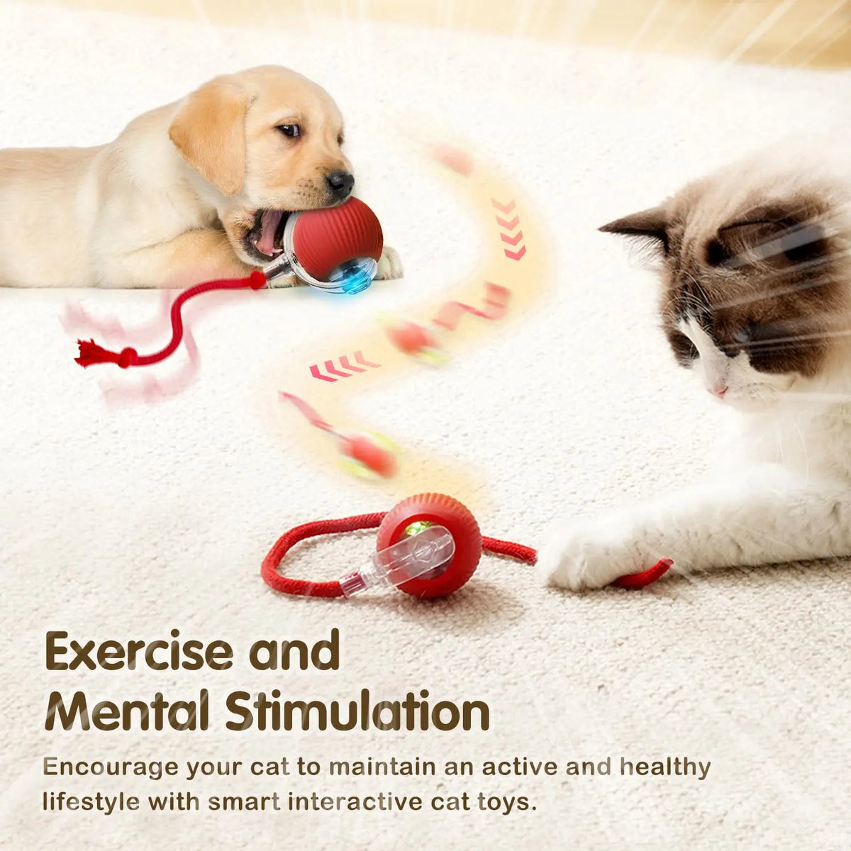 Cat Interactive Ball Toy, Automatic Rolling Ball with Tail, Rechargeable Smart Pet Interactive Toy, 