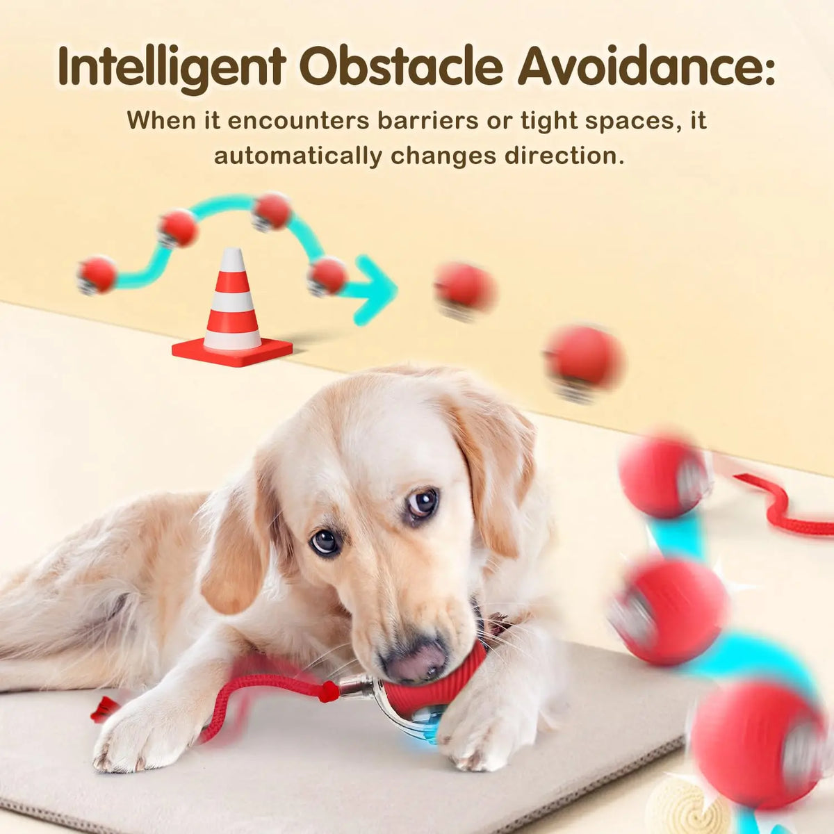 Cat Interactive Ball Toy, Automatic Rolling Ball with Tail, Rechargeable Smart Pet Interactive Toy, 