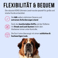 Retractable Dog Leash 16ft - Detail View