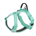 Minimalist Dog Harness — Lightweight Outdoor Adventure Harness