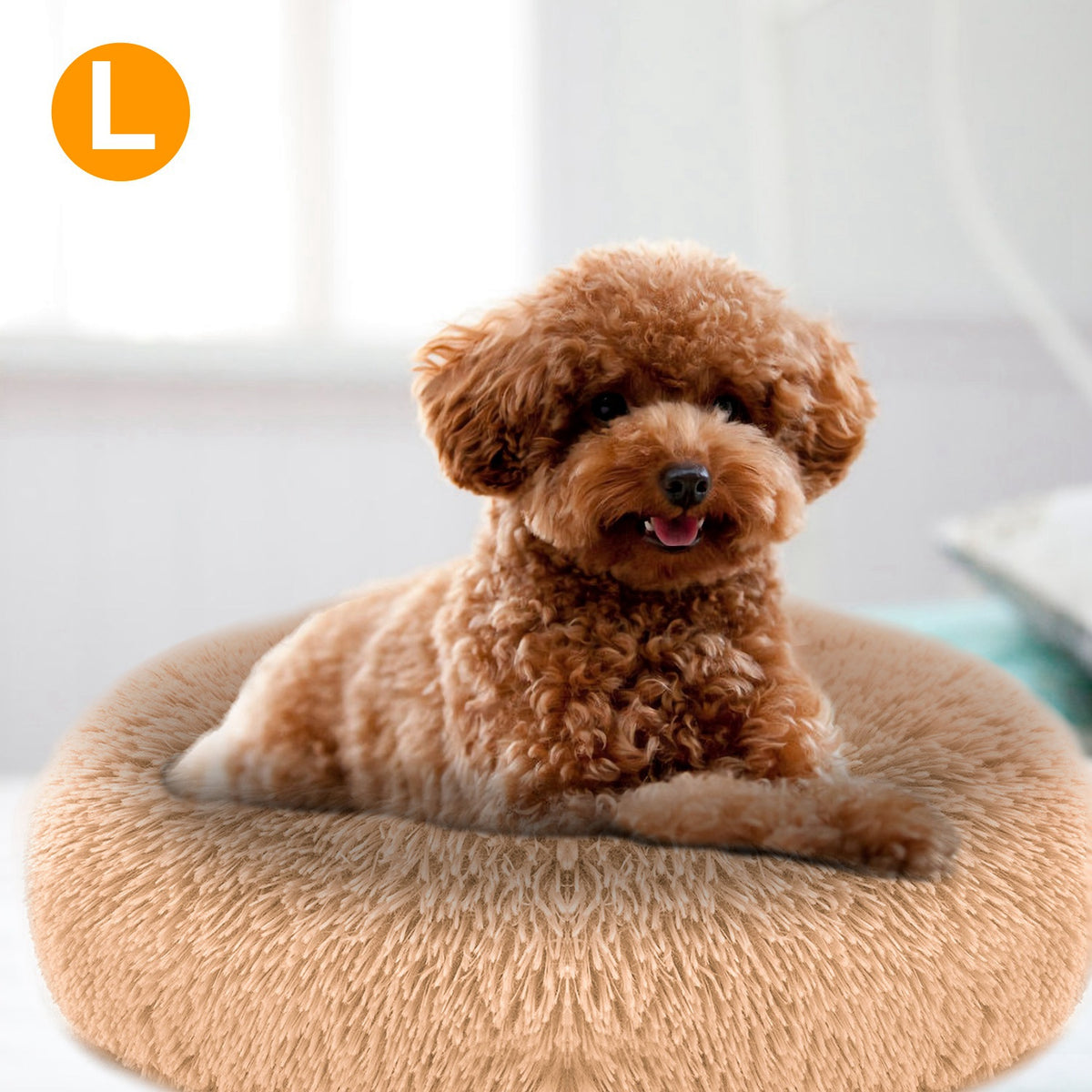 Premium Fleece Pet Bed with Supportive Rim — Ultra Soft & Warm