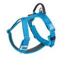 Minimalist Dog Harness — Lightweight Outdoor Adventure Harness