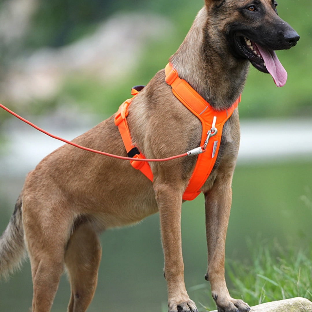 Minimalist Dog Harness — Lightweight Outdoor Adventure Harness