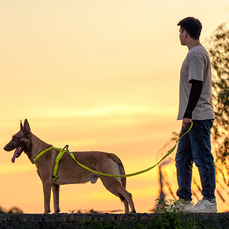 Heavy Duty Dog Harness — No-Pull Adjustable Harness & Leash for Medium Large Dogs
