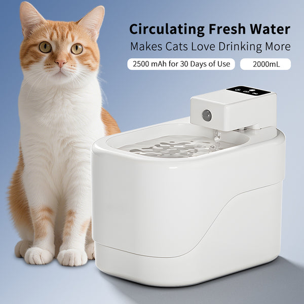 Intelligent Sensor Pet Drinking Fountain 2000ml Large...