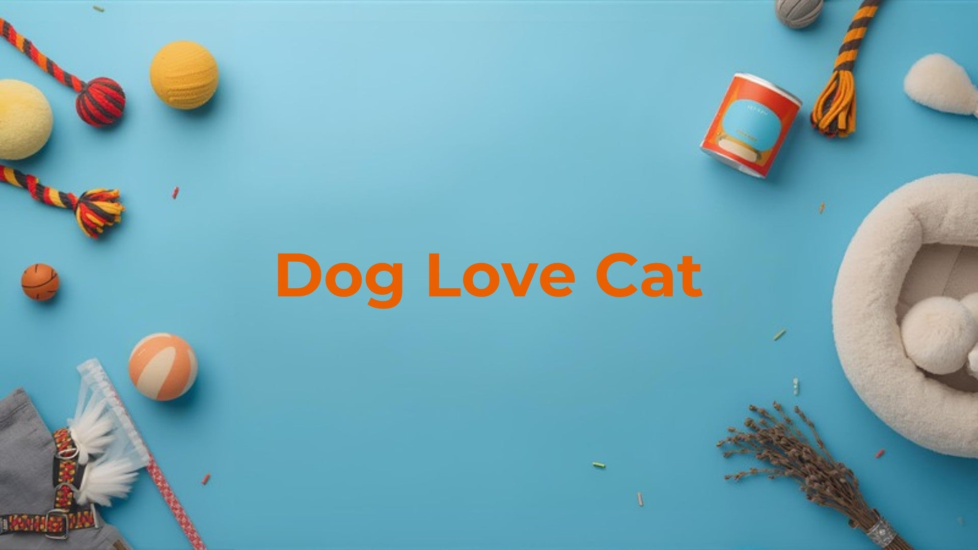 New arrivals for dogs and cats